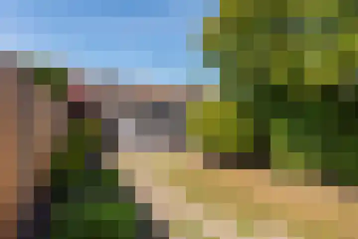 De Moestuin 9 Heiloo foto 2