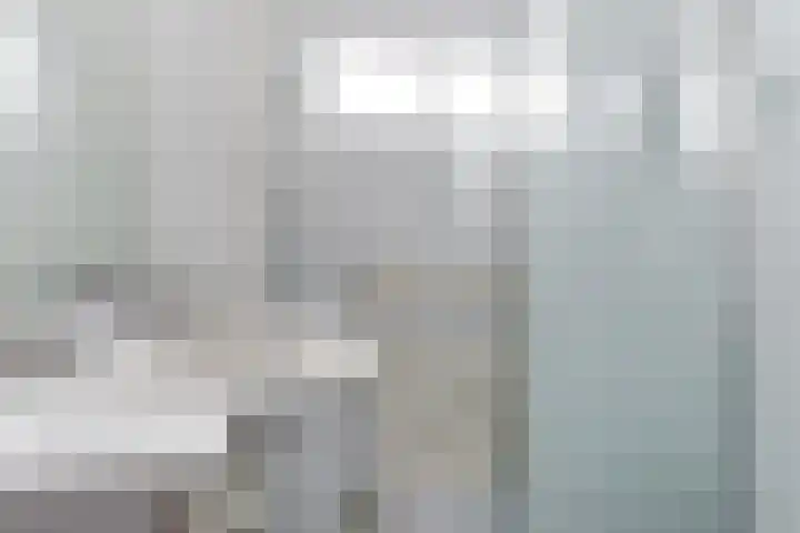 De Moestuin 9 Heiloo thumbnail 21