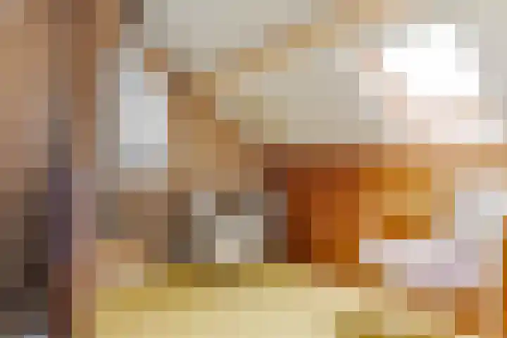 De Moestuin 9 Heiloo thumbnail 25