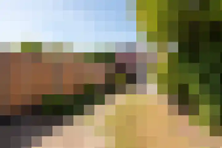 De Moestuin 9 Heiloo thumbnail 26