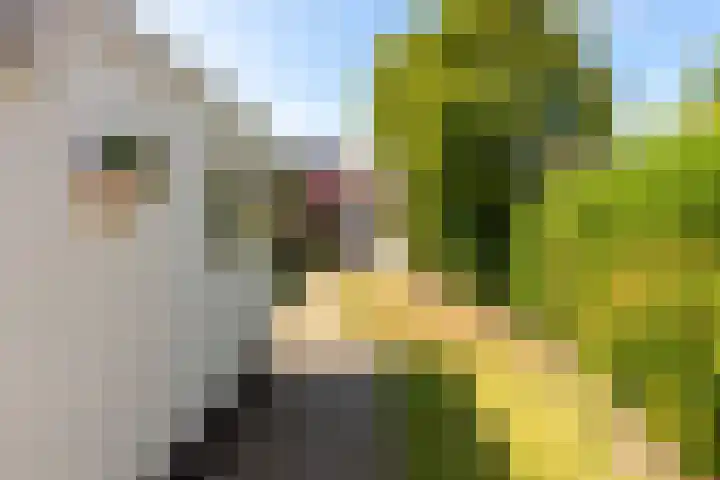 De Moestuin 9 Heiloo thumbnail 27