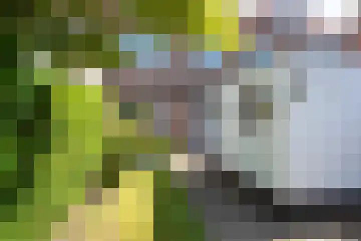 De Moestuin 9 Heiloo thumbnail 29