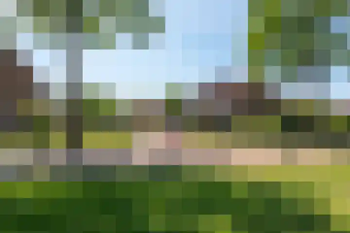 De Moestuin 9 Heiloo foto 3