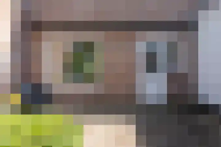 De Moestuin 9 Heiloo thumbnail 30