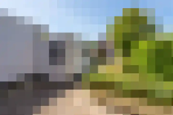 De Moestuin 9 Heiloo thumbnail 32