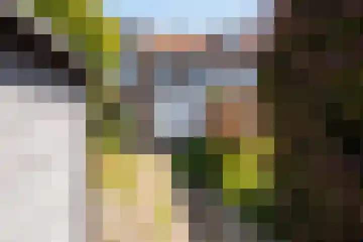 De Moestuin 9 Heiloo thumbnail 33