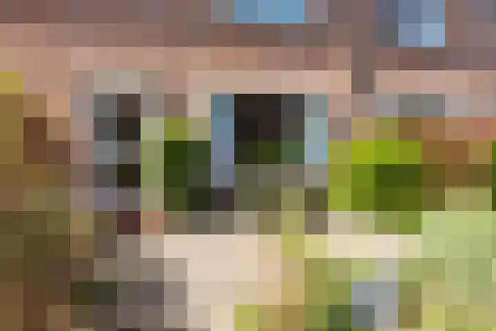 De Moestuin 9 Heiloo thumbnail 35