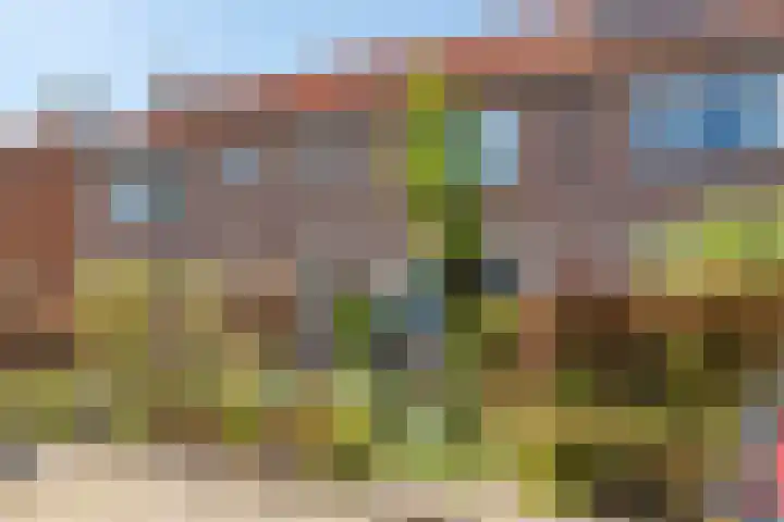 De Moestuin 9 Heiloo thumbnail 36