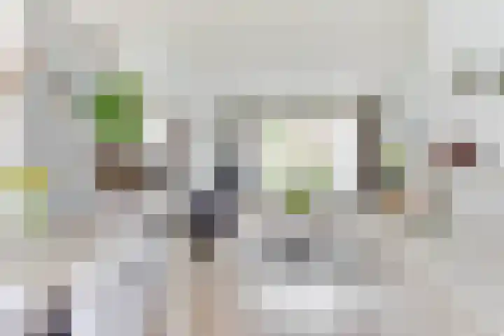 De Moestuin 9 Heiloo thumbnail 4