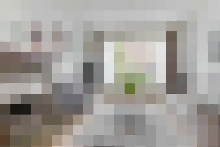 De Moestuin 9 Heiloo thumbnail 5