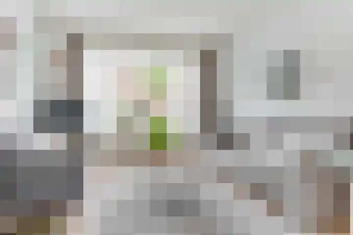 De Moestuin 9 Heiloo thumbnail 6