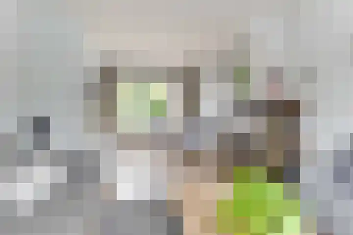 De Moestuin 9 Heiloo thumbnail 7