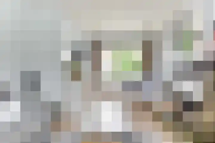 De Moestuin 9 Heiloo thumbnail 8