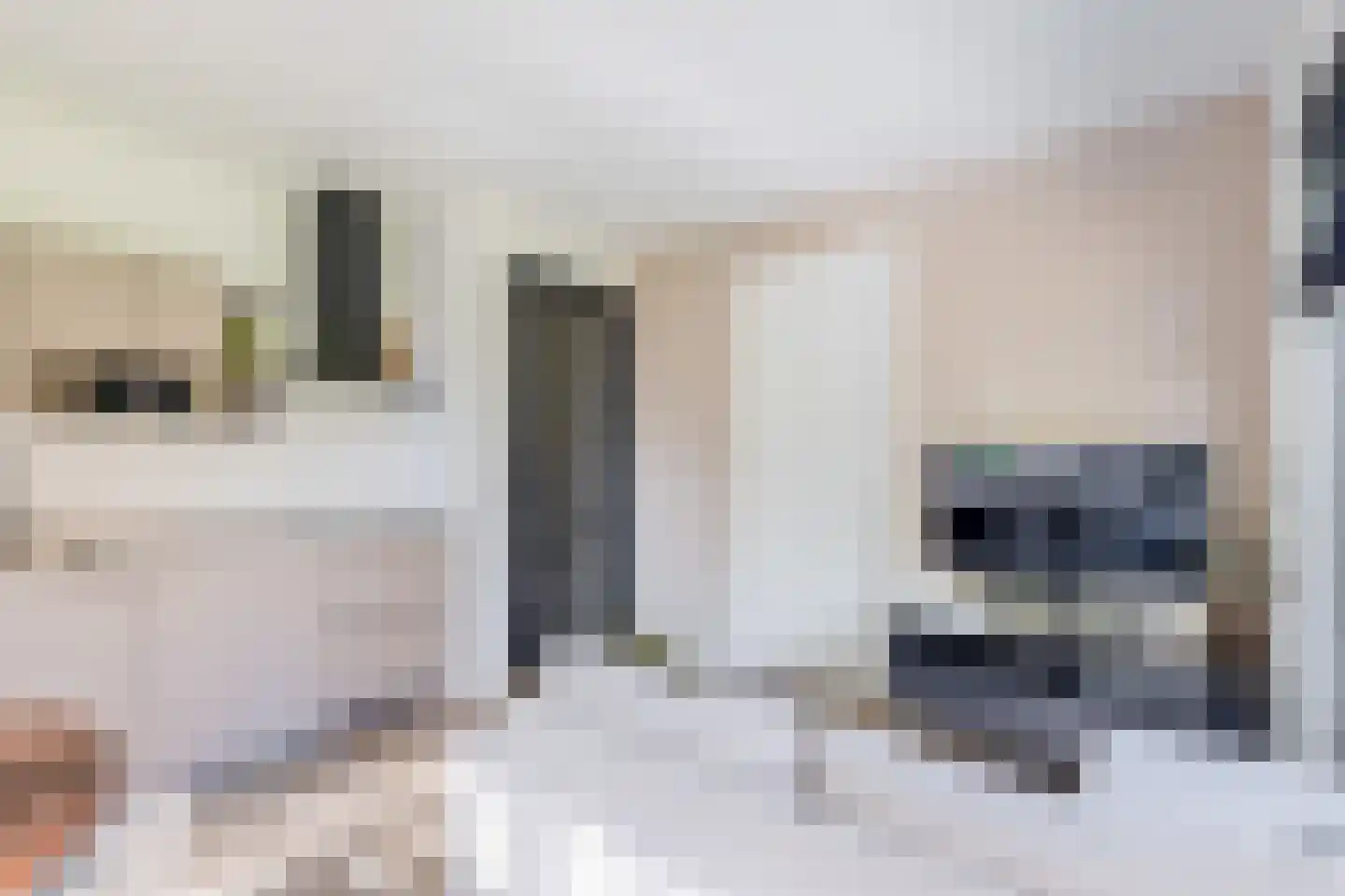 De Molen 39 d Houten thumbnail 14