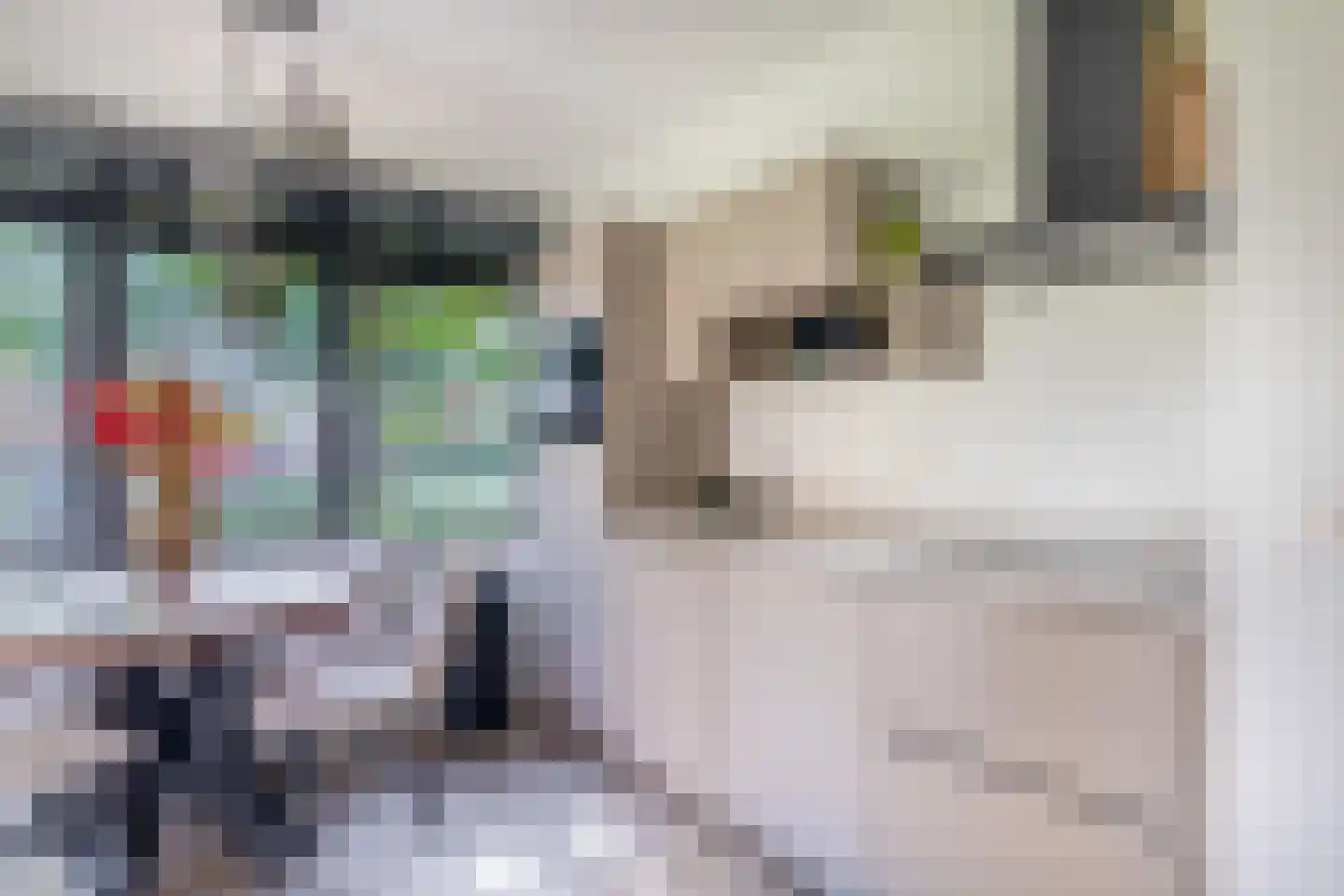 De Molen 39 d Houten thumbnail 15
