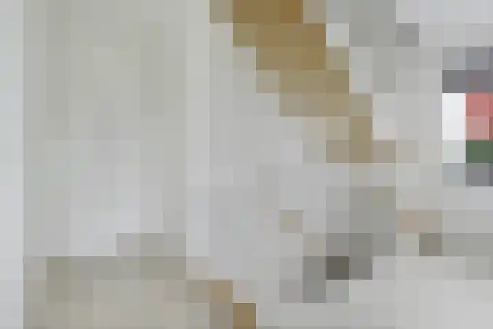 De Molenbeemd 2 Moergestel thumbnail 23