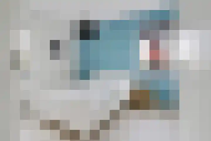 De Molenbeemd 2 Moergestel thumbnail 25