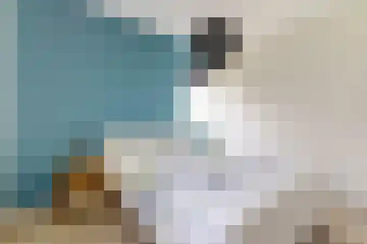 De Molenbeemd 2 Moergestel thumbnail 26