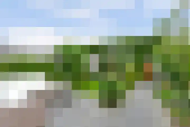 De Molenbeemd 2 Moergestel thumbnail 29