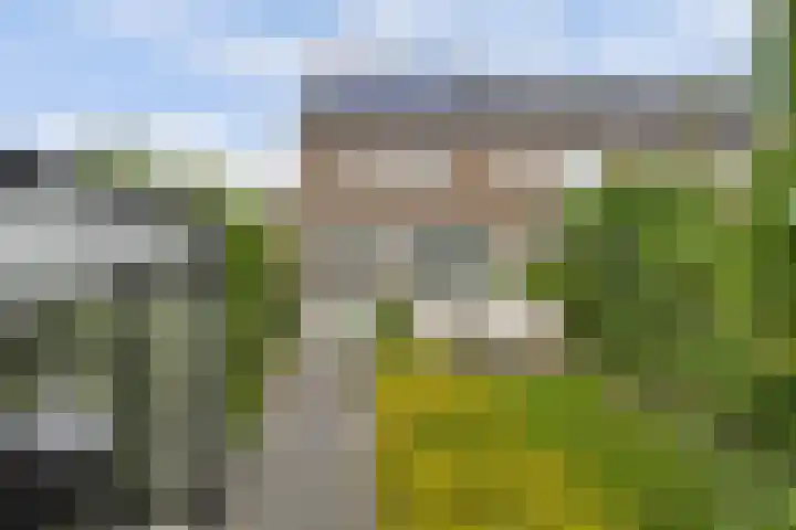De Molenbeemd 2 Moergestel thumbnail 31