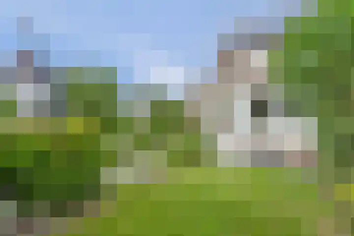 De Molenbeemd 2 Moergestel thumbnail 32