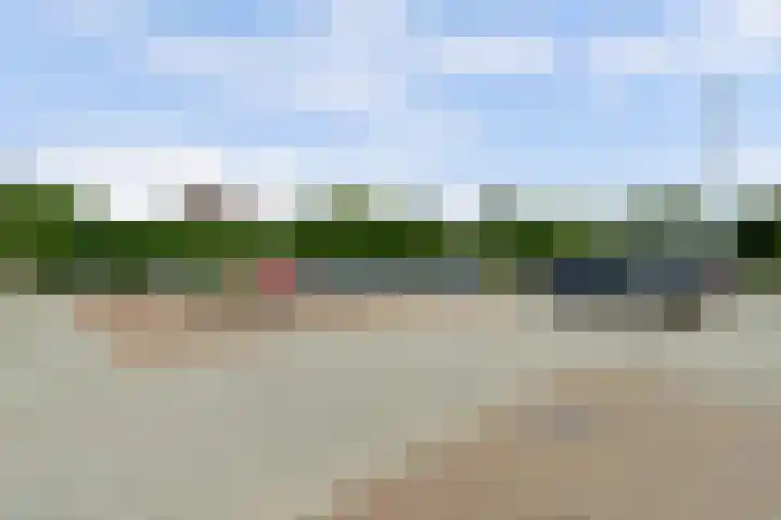 De Molenbeemd 2 Moergestel thumbnail 39