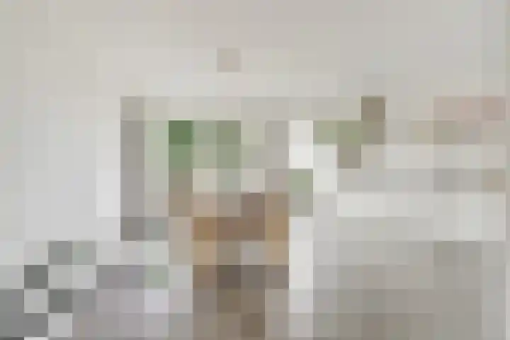 De Molenbeemd 2 Moergestel thumbnail 8
