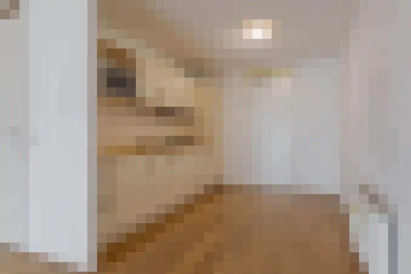 De Molenborg 2 Borger thumbnail 15
