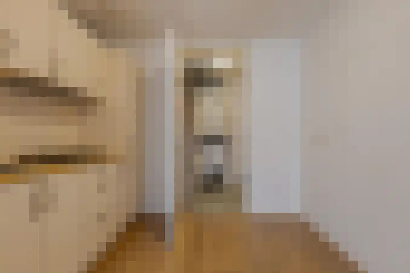 De Molenborg 2 Borger thumbnail 17