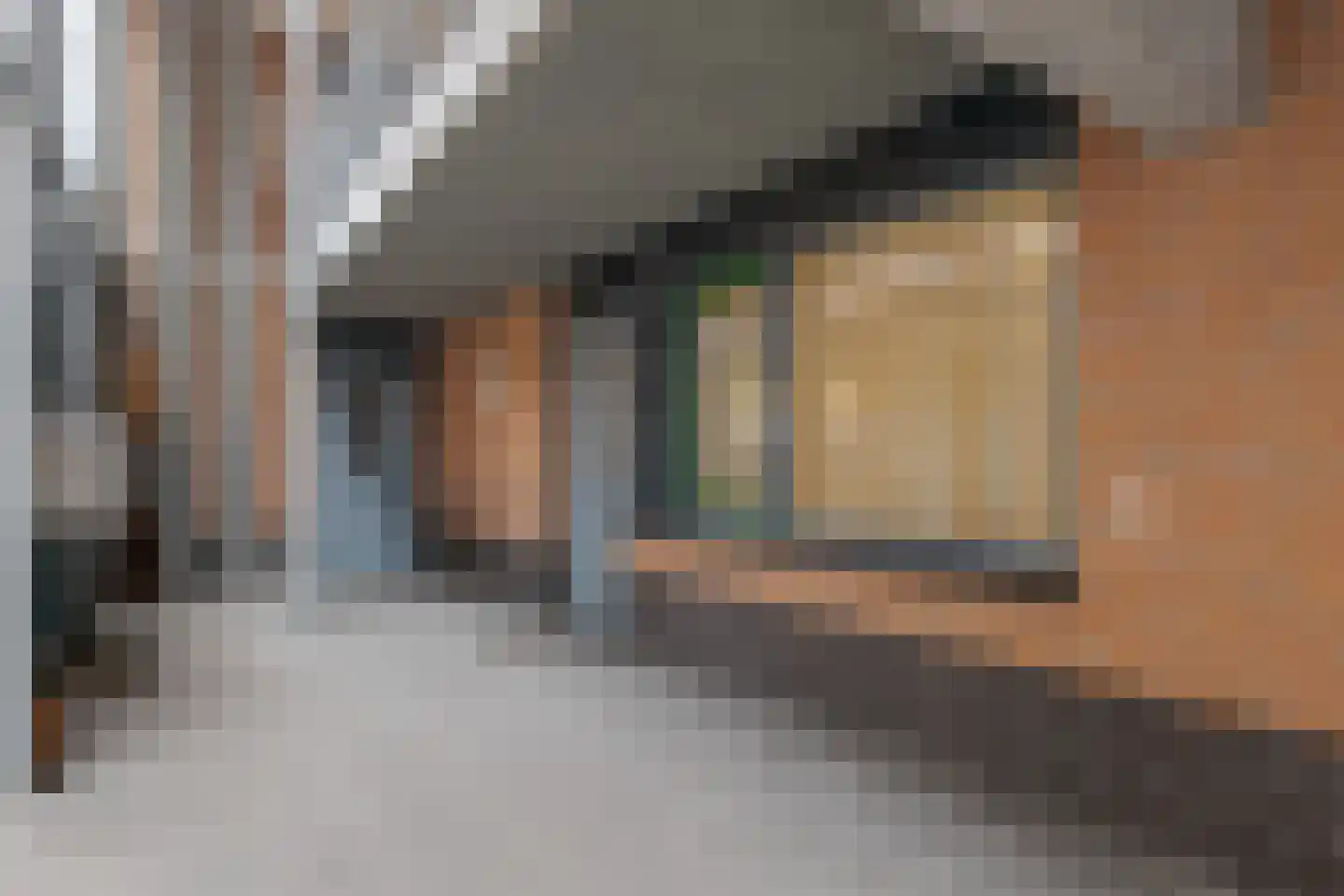 De Molenborg 2 Borger thumbnail 34