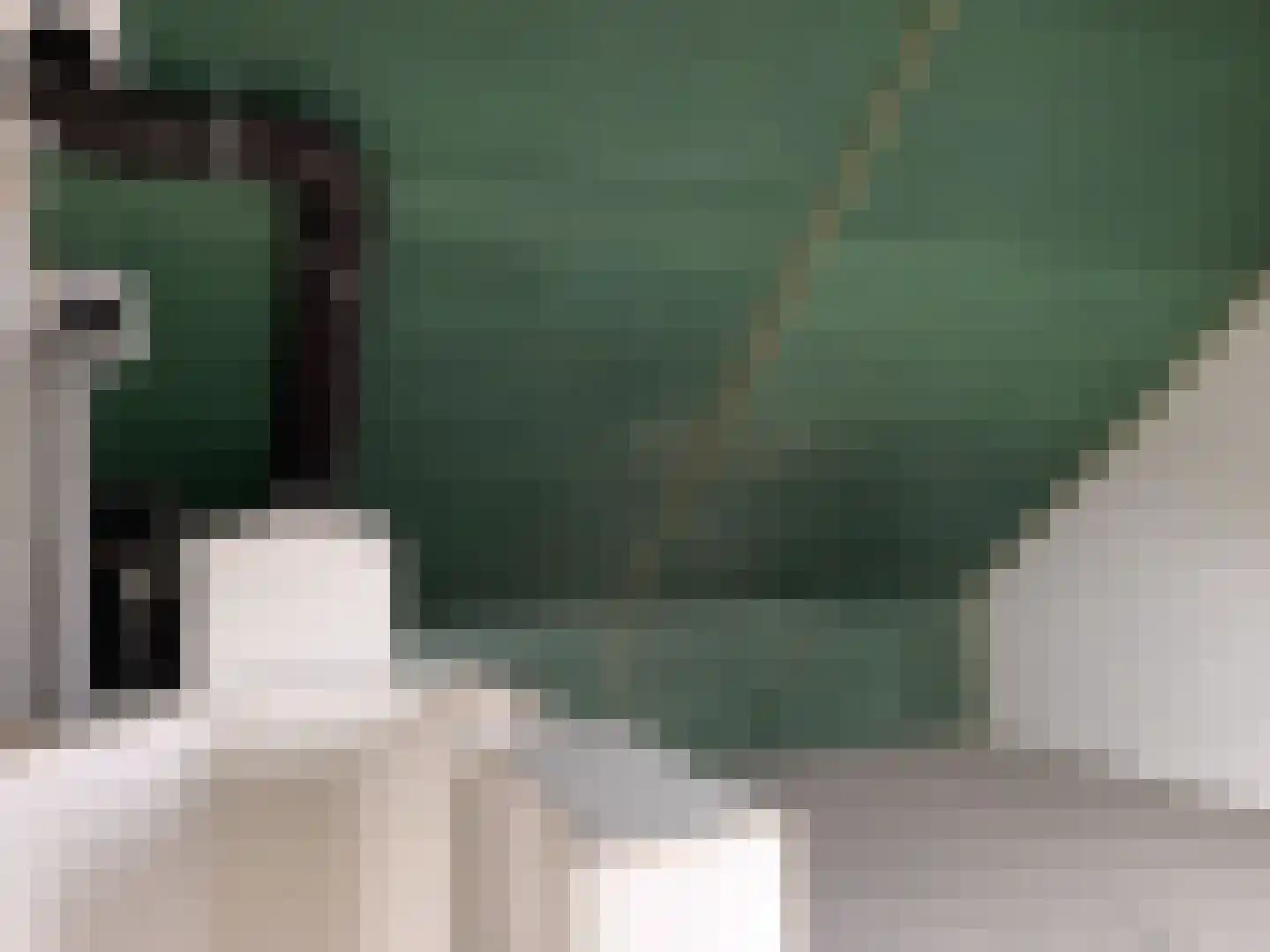 De Molenhof 5 b Ochten thumbnail 15