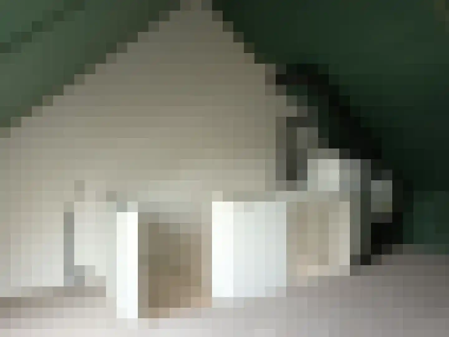 De Molenhof 5 b Ochten thumbnail 16