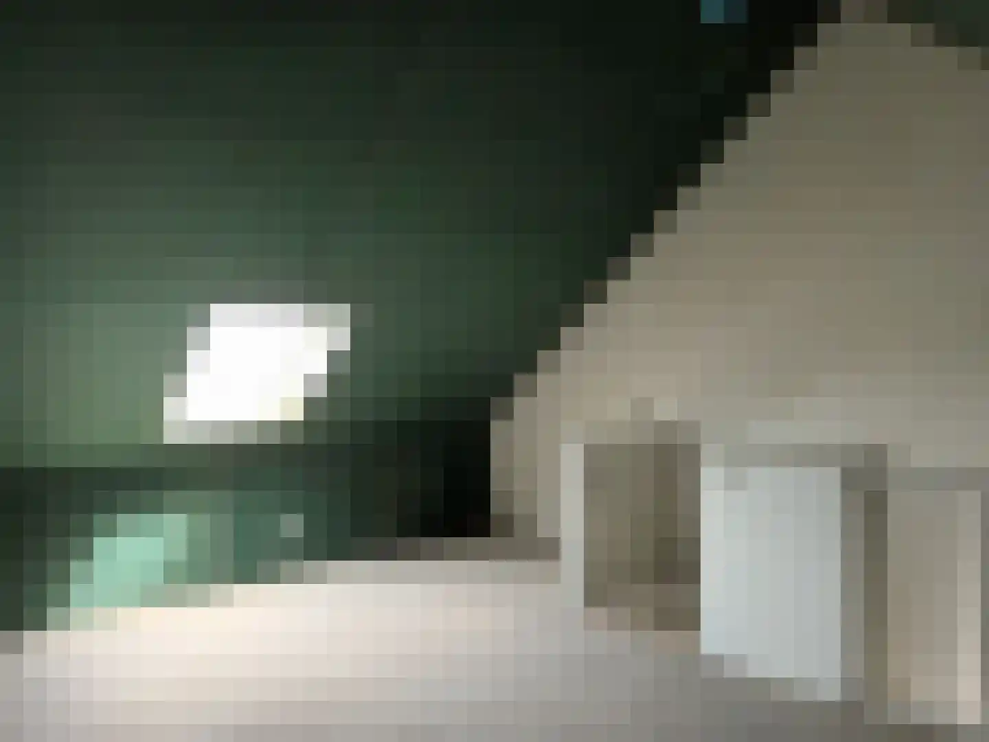 De Molenhof 5 b Ochten thumbnail 17