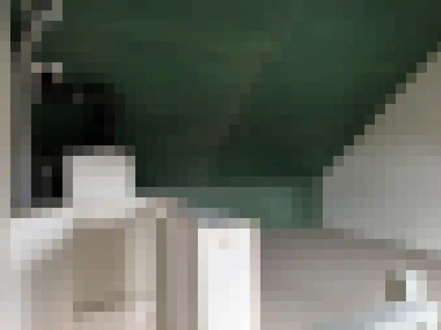 De Molenhof 5 Ochten thumbnail 17