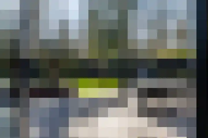 De Molenkamp 11 Emmen thumbnail 11