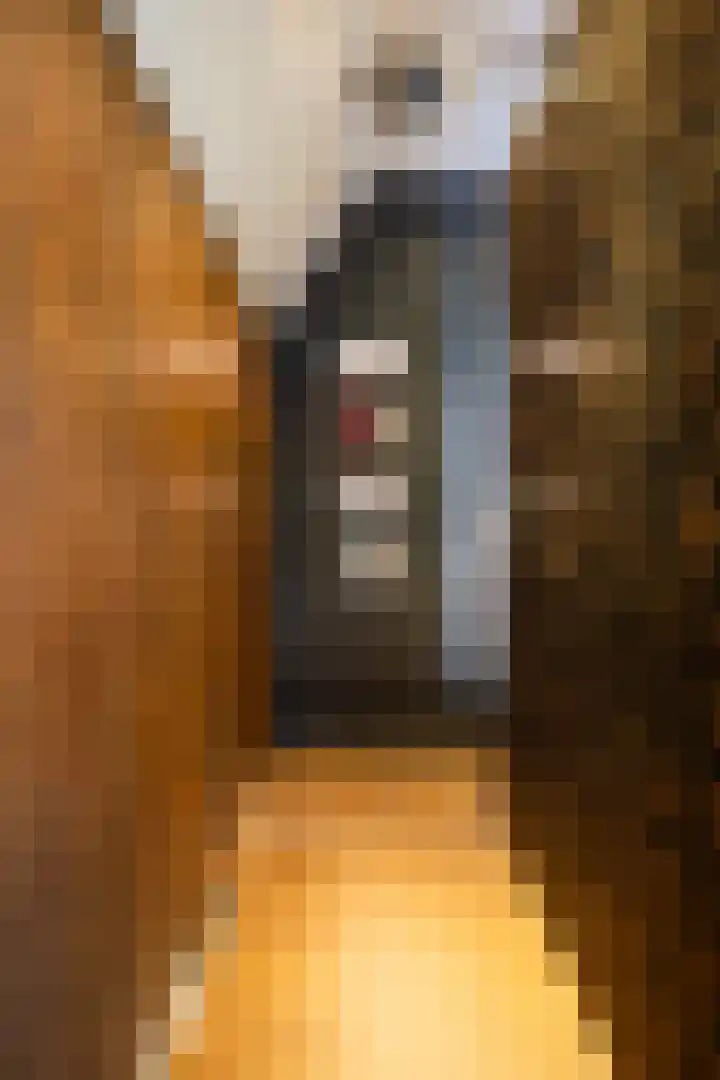 De Molenkamp 11 Emmen thumbnail 20