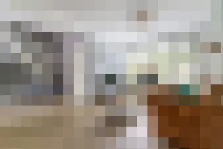 De Molenkamp 22 Rijnsburg thumbnail 12