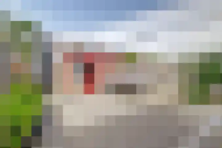 De Molenkamp 22 Rijnsburg thumbnail 39
