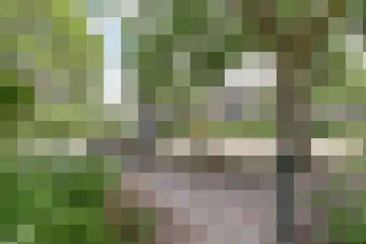 De Molenkamp 22 Rijnsburg thumbnail 43