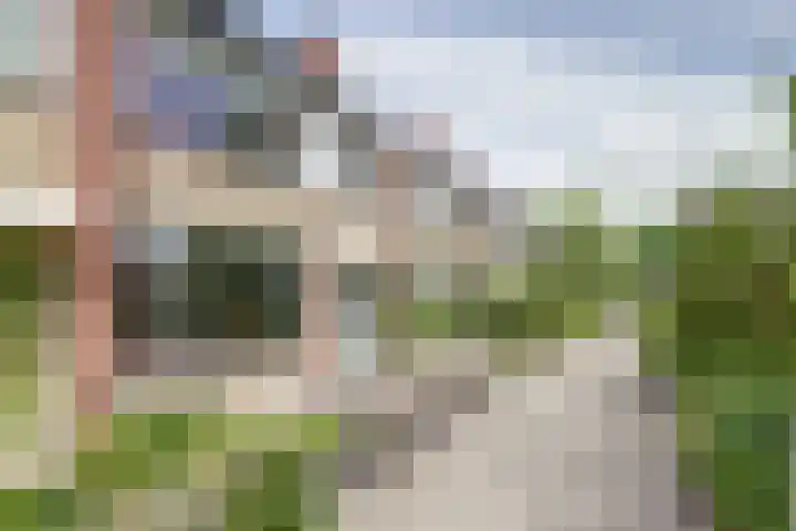 De Molenkamp 22 Rijnsburg thumbnail 8