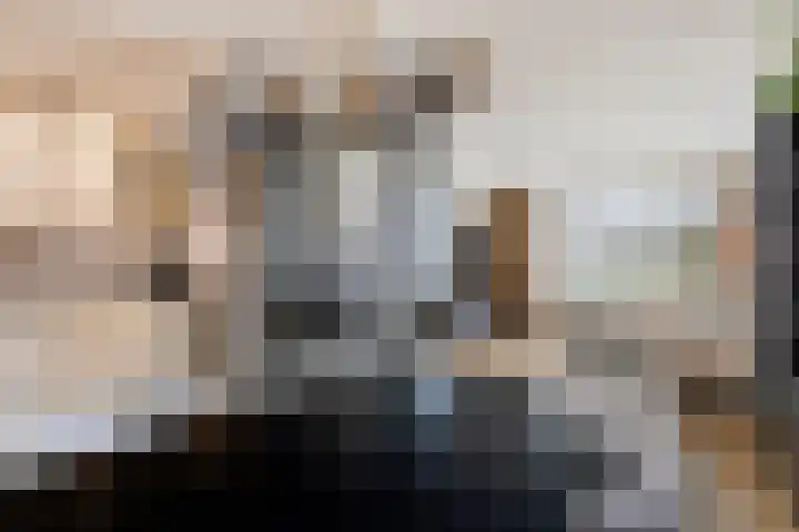 de Molenwiek 17 Valkenswaard thumbnail 10