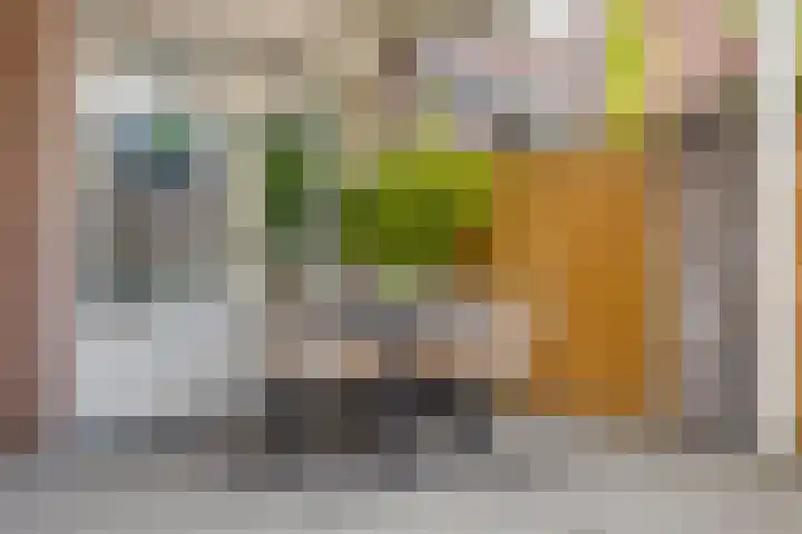 de Molenwiek 17 Valkenswaard thumbnail 24