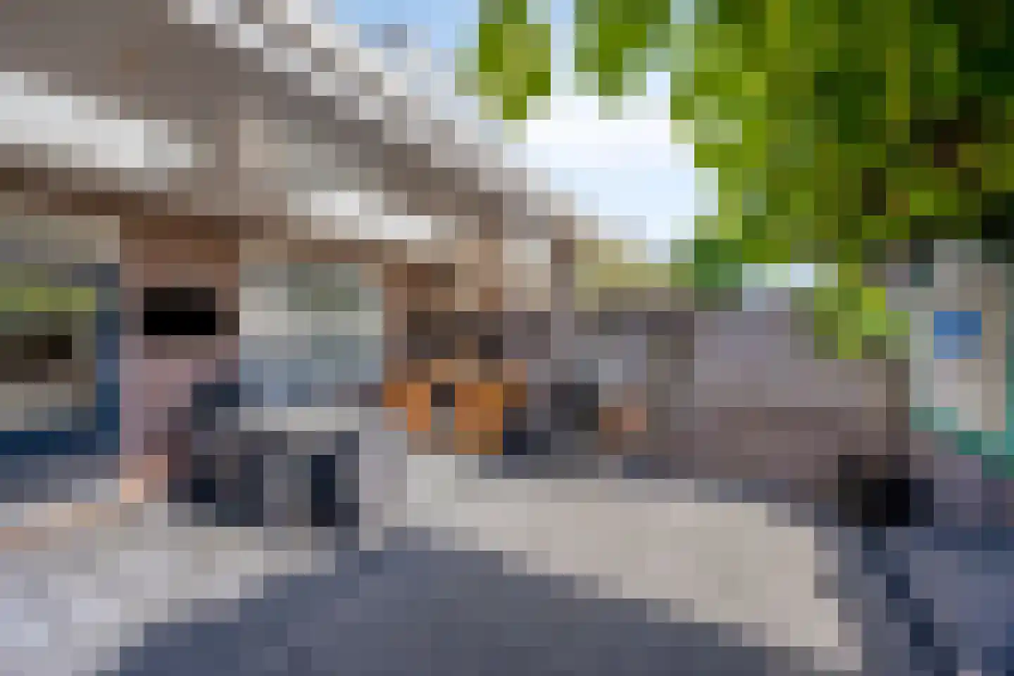 de Molenwiek 19 Valkenswaard thumbnail 17