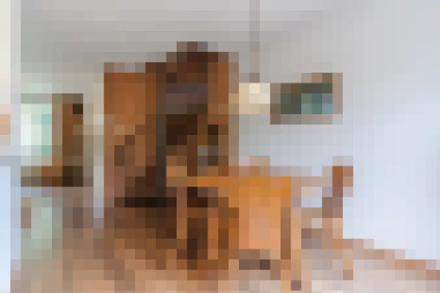 De Mommers 12 Waalre thumbnail 15