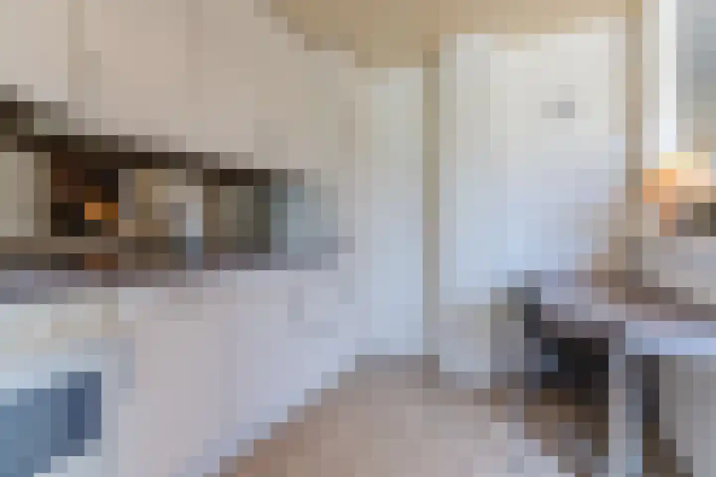 De Mommers 12 Waalre thumbnail 17