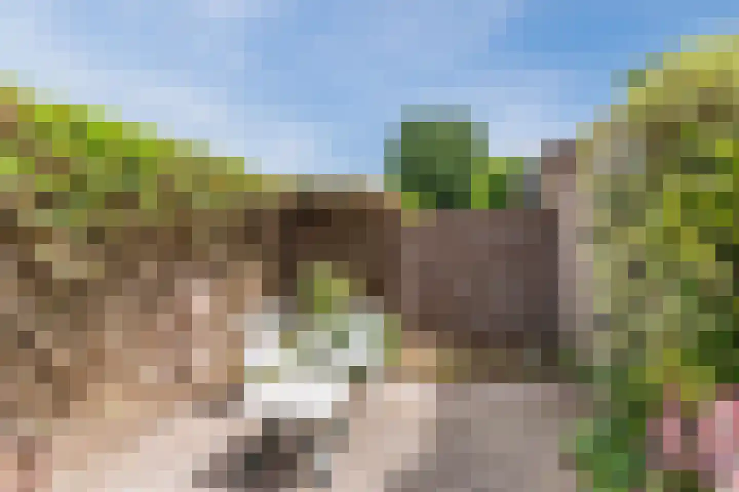 De Mommers 12 Waalre thumbnail 43