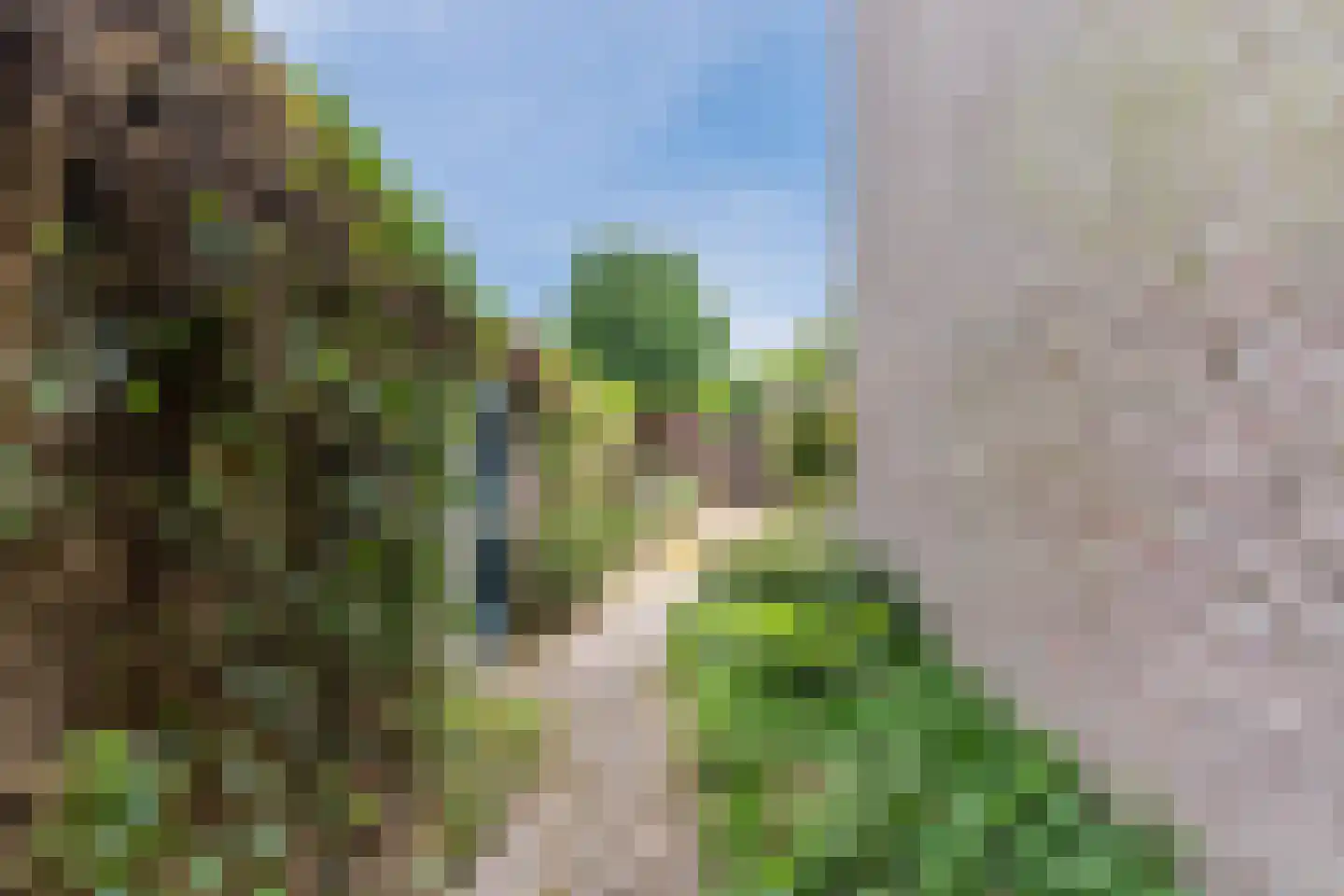 De Mommers 12 Waalre thumbnail 48