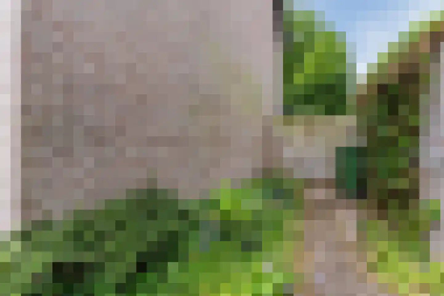 De Mommers 12 Waalre thumbnail 49