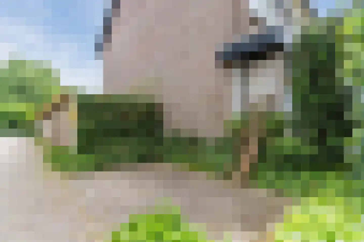 De Mommers 12 Waalre thumbnail 50