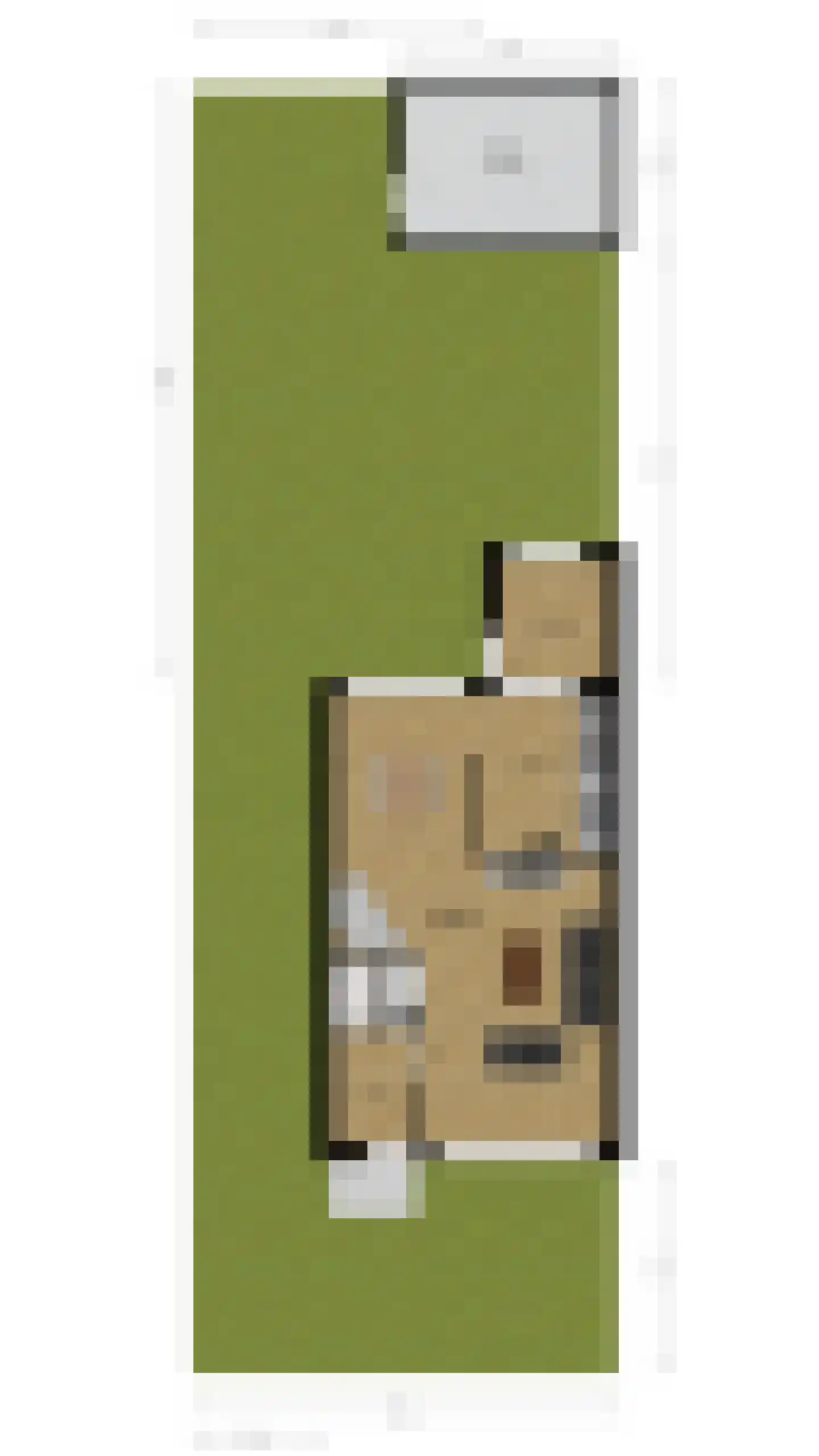 De Mommers 12 Waalre thumbnail 53